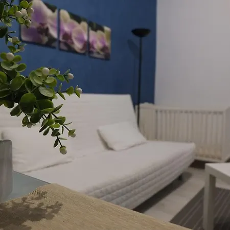 Bed & Breakfast Miro *