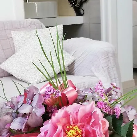 Miro Bed & Breakfast